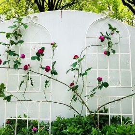 2 Pack Metal Garden Trellis 71" x 19.7" Rustproof Trellis for Climbing Plants Outdoor Flower Support (Color: CREAM WHITE)